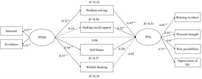 The Relationship Between Posttraumatic Stress Disorder Symptoms and Posttraumatic Growth Among HIV-Infected Men Who Have Sex With Men in Beijing, China: The Mediating Roles of Coping Strategies